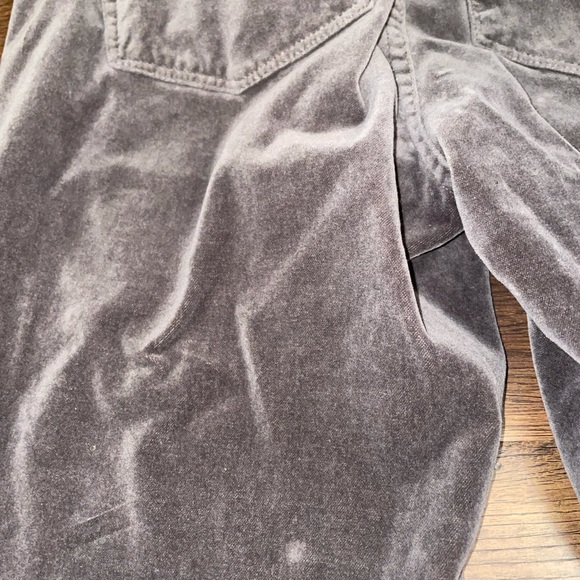 J. Jill Velvet Pant - Picture 10 of 12